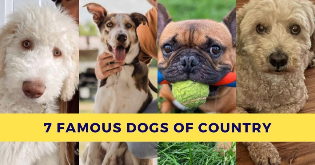 famous dogs of Canadian country music